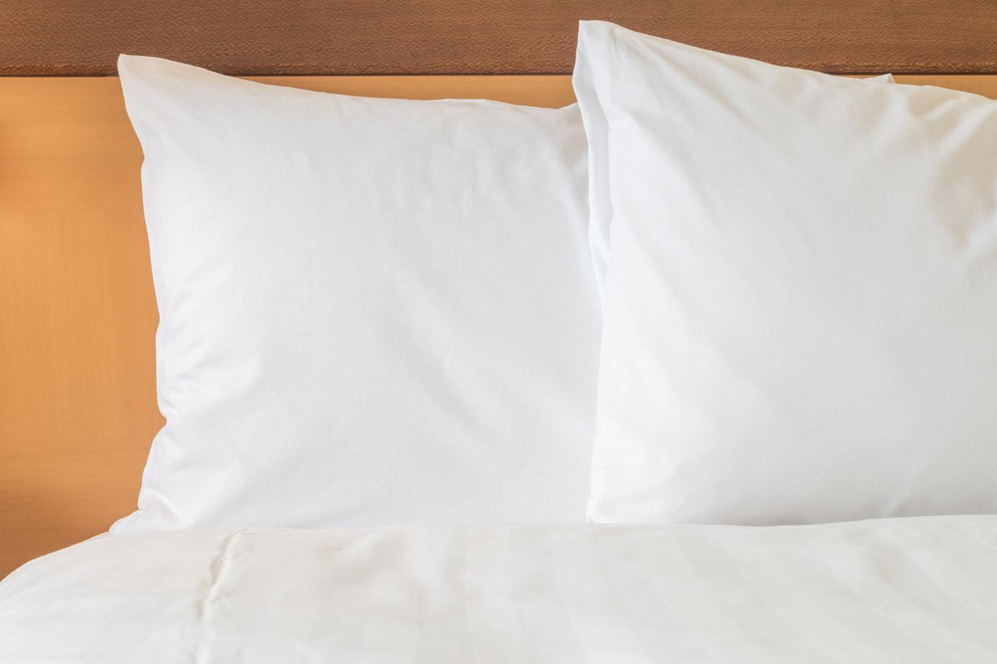 Crowne Plaza Jacksonville Airport By Ihg Εξωτερικό φωτογραφία