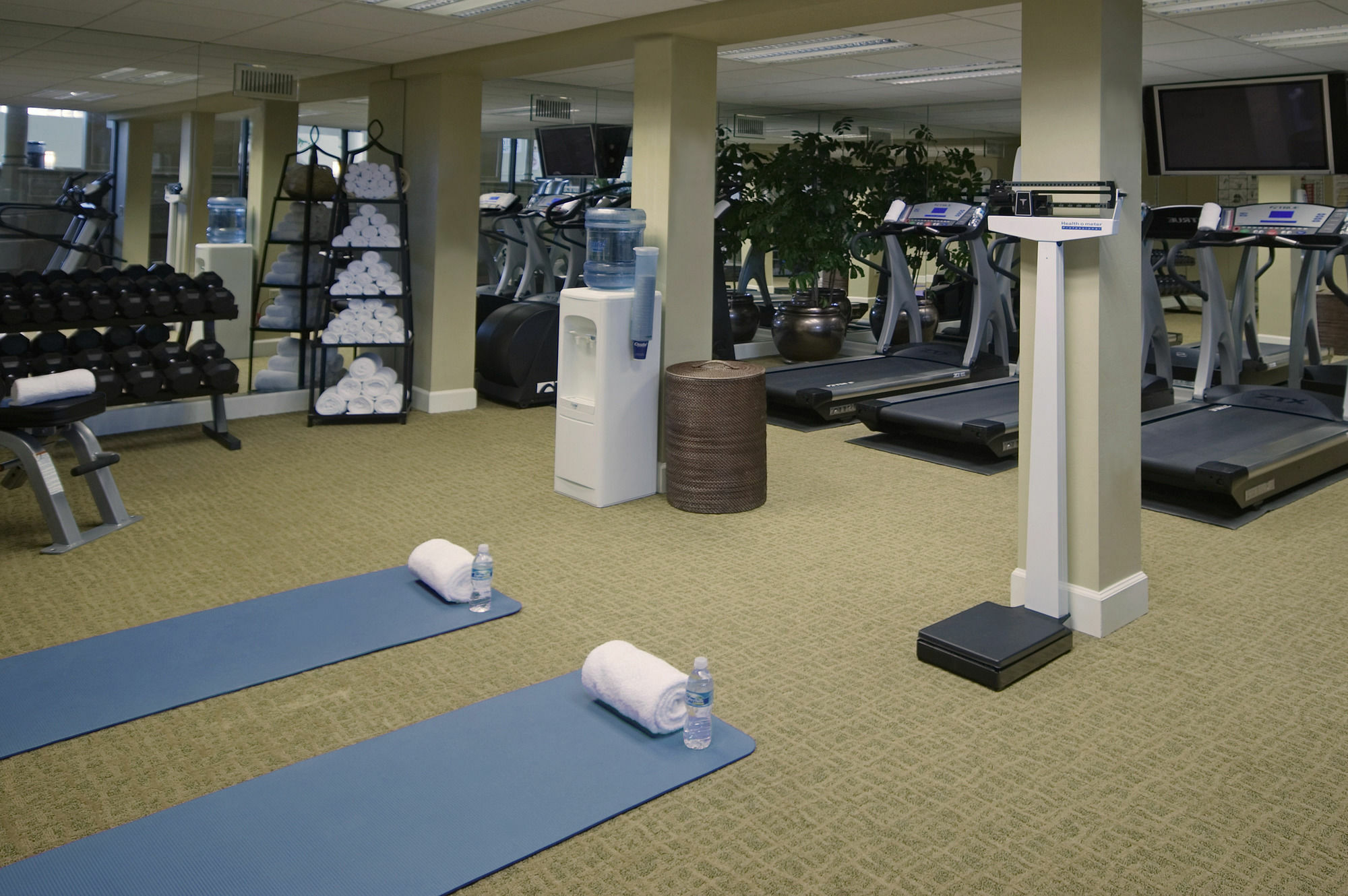 Crowne Plaza Jacksonville Airport By Ihg Εξωτερικό φωτογραφία